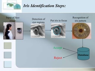 Iris Identification Steps:

Input of face                                           Recognition of
                     Detection of
   image                            Put iris in focus    iris pattern
                     eye regions




                                      Accept

                                                             Database
                                       Reject
 