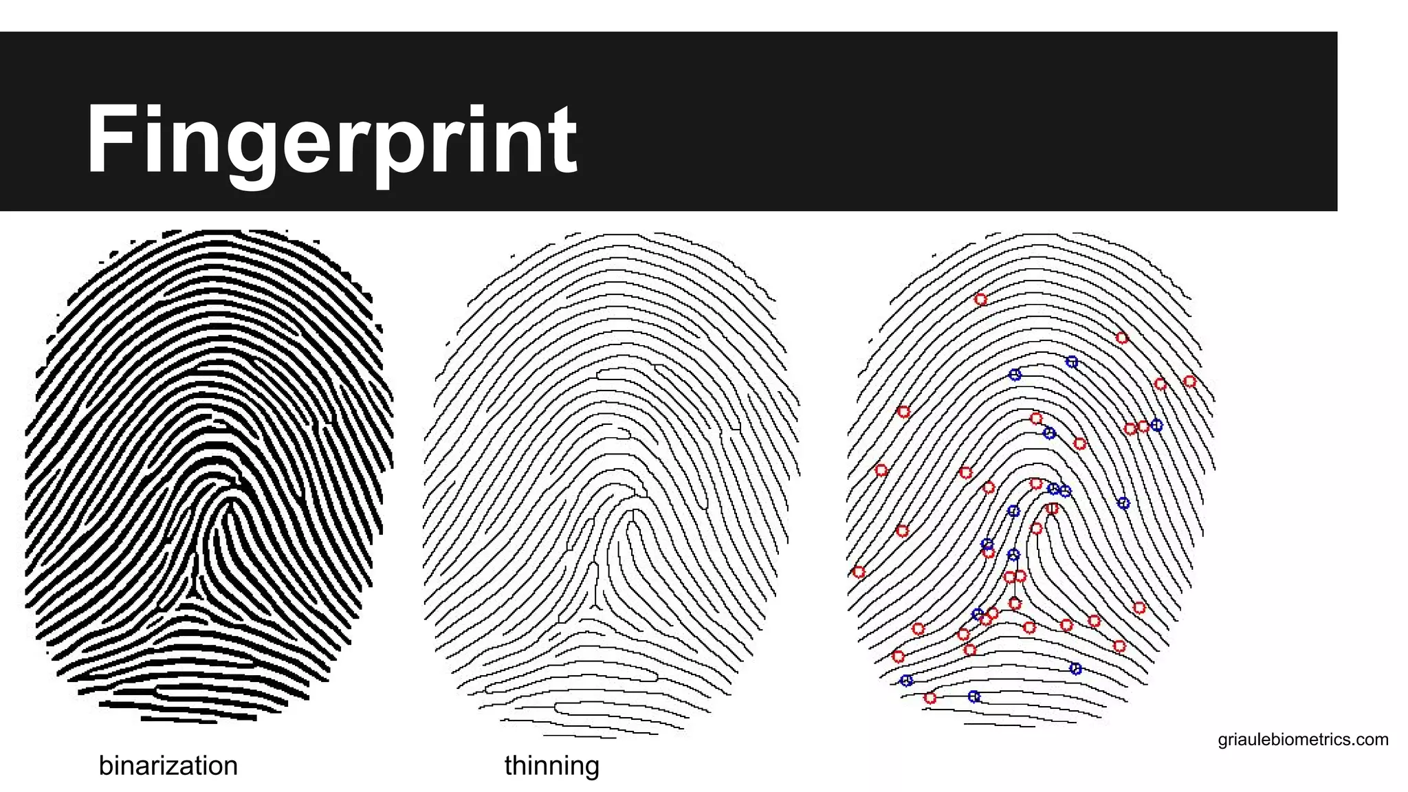 Fingerprint
griaulebiometrics.com
binarization thinning
 