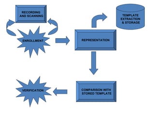VERIFICATION ENROLLMENT RECORDING AND SCANNING REPRESENTATION TEMPLATE EXTRACTION & STORAGE COMPARISON WITH STORED TEMPLATE 
