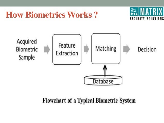 leading biometrics technologies how biometric works