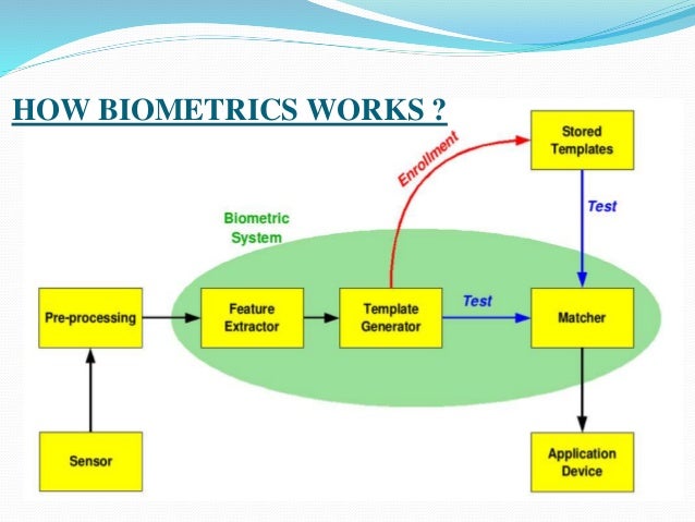 biometrics how biometric works