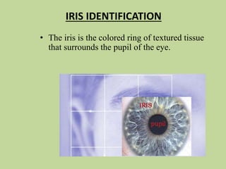 IRIS IDENTIFICATION
• The iris is the colored ring of textured tissue
that surrounds the pupil of the eye.
 