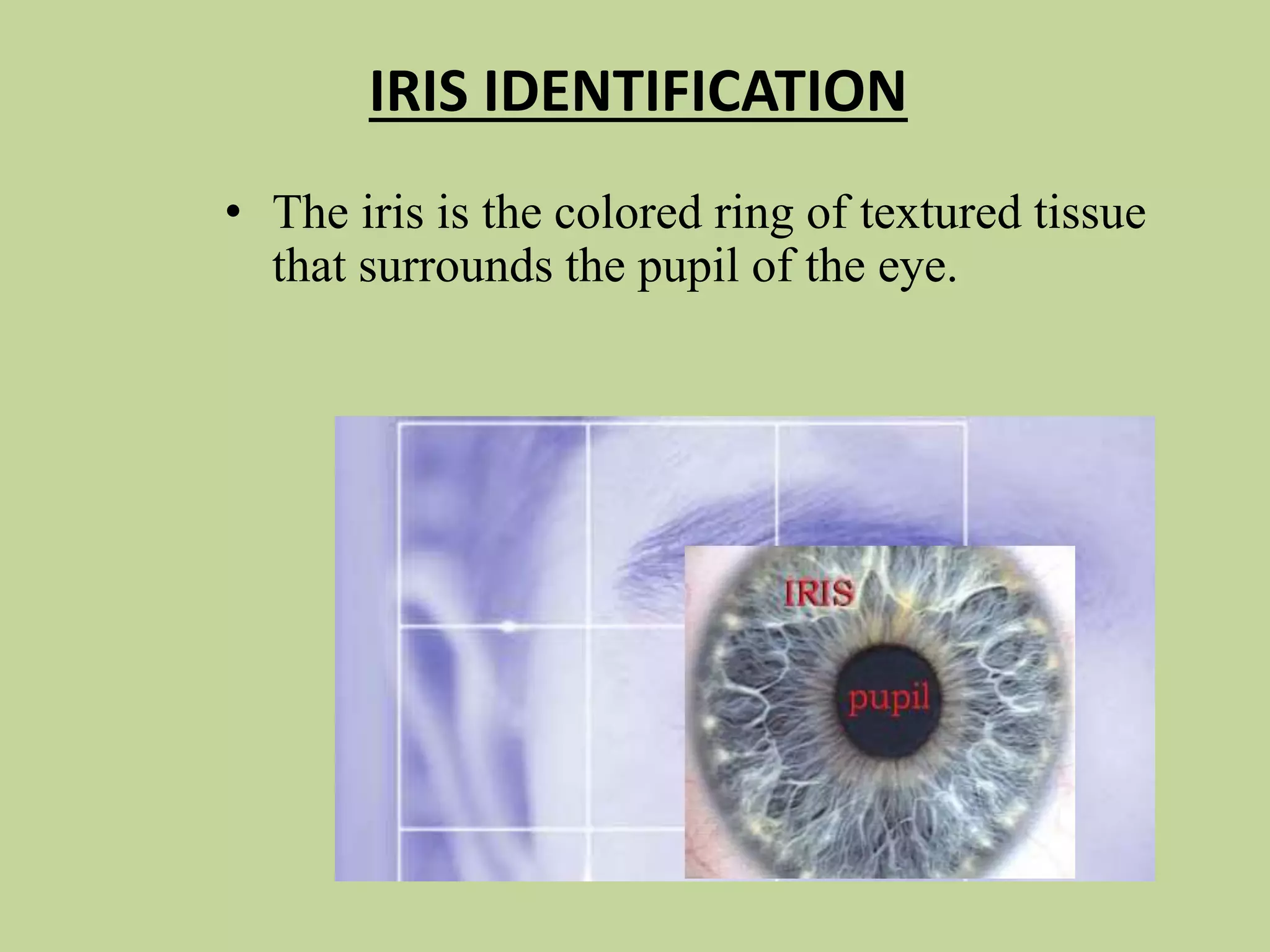 IRIS IDENTIFICATION
• The iris is the colored ring of textured tissue
that surrounds the pupil of the eye.
 