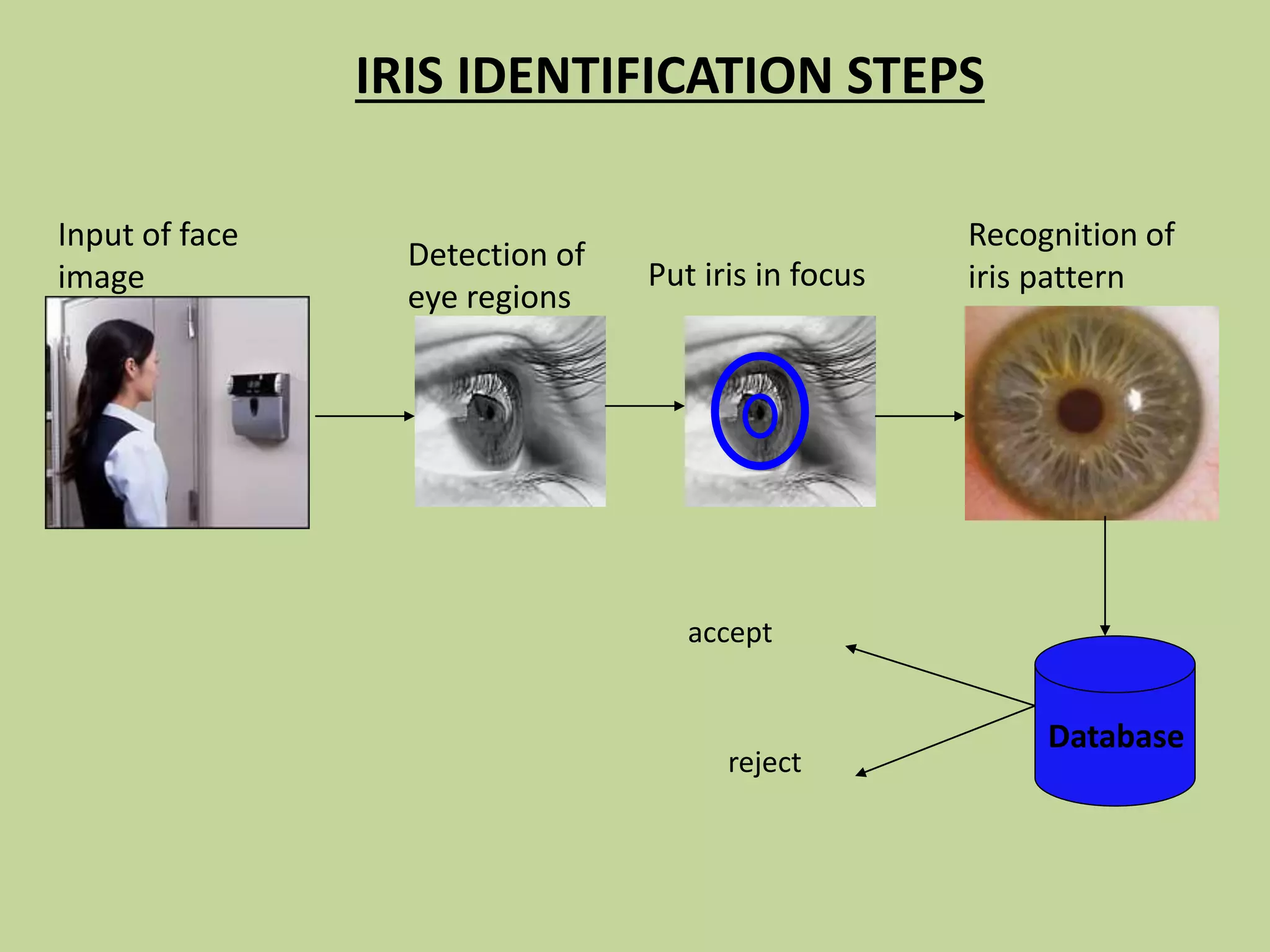 IRIS IDENTIFICATION STEPS
Database
Input of face
image
Detection of
eye regions
Put iris in focus
Recognition of
iris pattern
accept
reject
 
