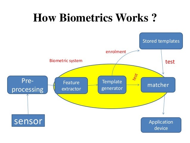 biometrics how biometric works