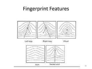 Fingerprint Features
58
 
