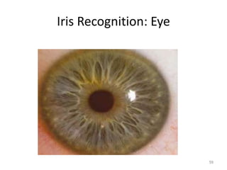 Iris Recognition: Eye
59
 
