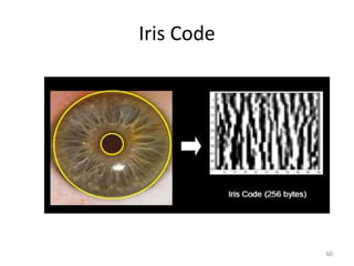 Iris Code
60
 