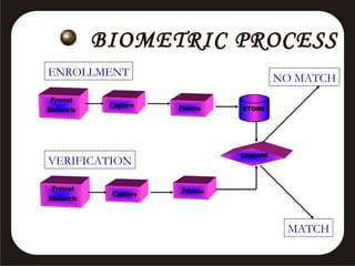 BIOMETRIC PROCESS
ENROLLMENT
Present
Biometric

Capture

NO MATCH
Process

COMPARE

VERIFICATION
Present
Biometric

Capture

STORE

Process

MATCH

 