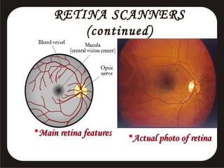 RETINA SCANNERS
(continued)

•Main retina features

•Actual photo of retina

 