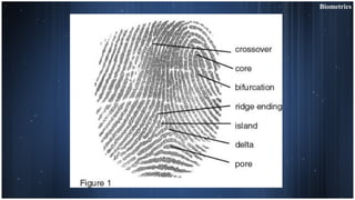 Biometrics final ppt | ODP