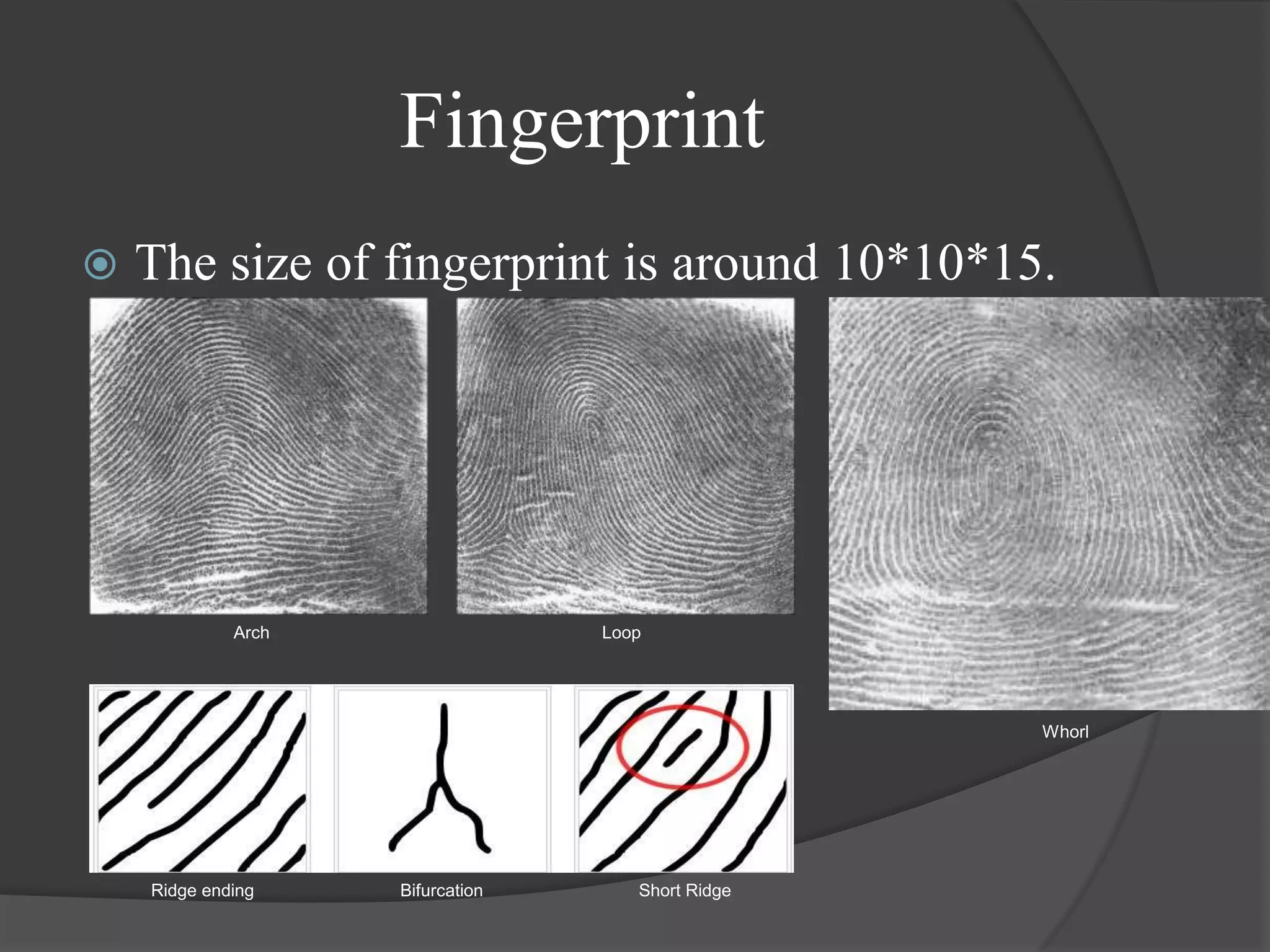 Fingerprint
   The size of fingerprint is around 10*10*15.




             Arch                 Loop




                                                   Whorl




    Ridge ending    Bifurcation      Short Ridge
 