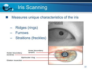 Iris Scanning
 Measures unique characteristics of the iris
– Ridges (rings)
– Furrows
– Straitions (freckles)
22
 