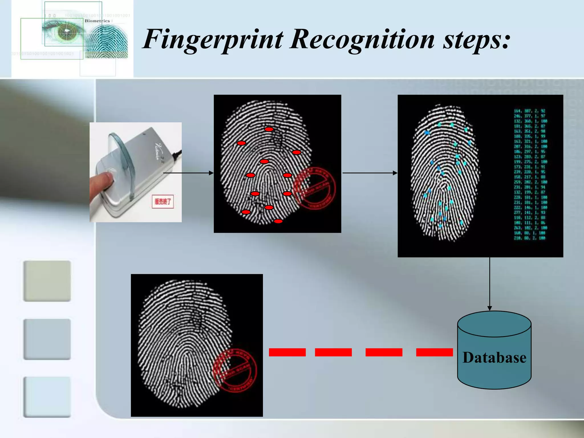 Fingerprint Recognition steps:

Database

 