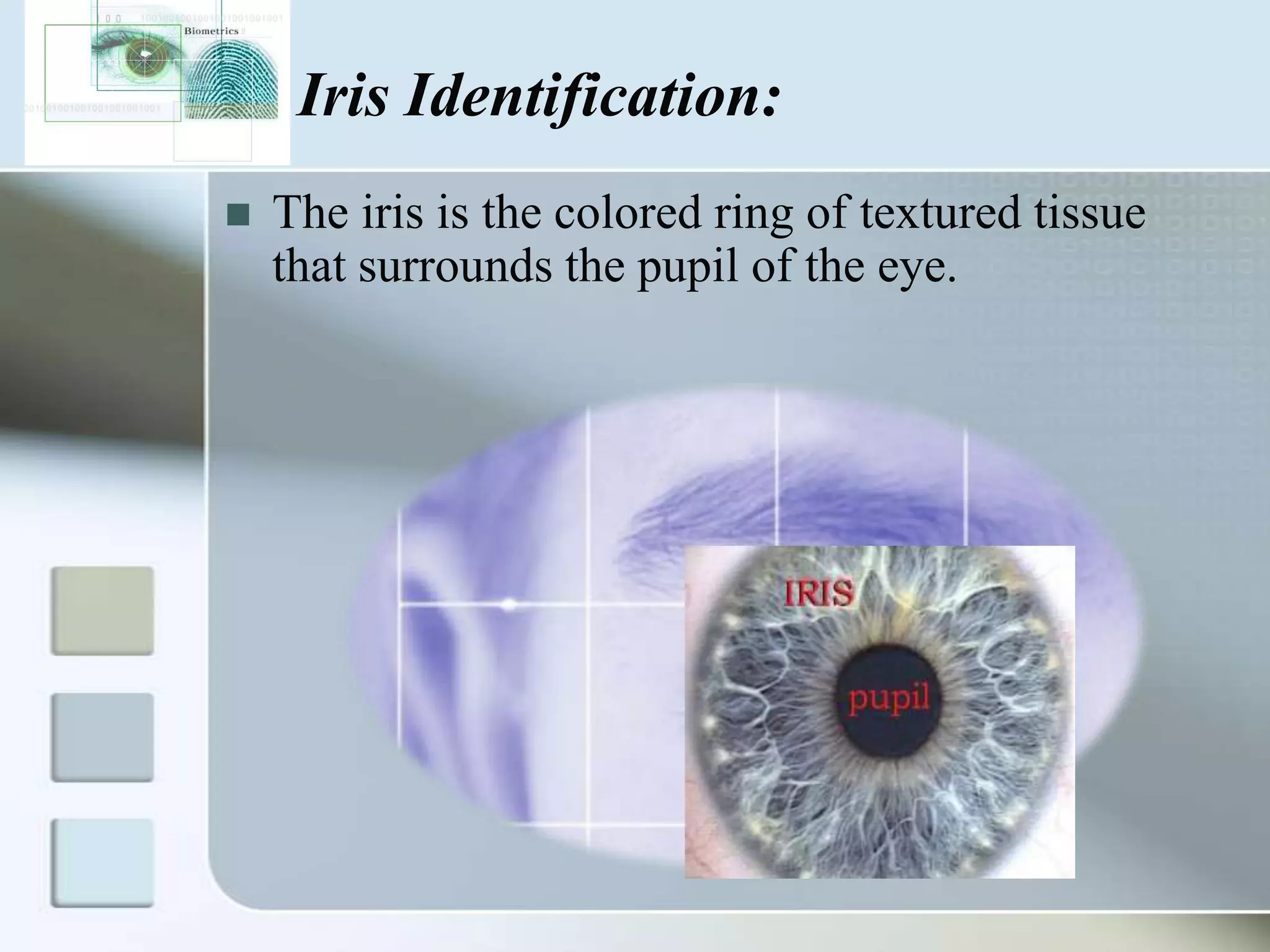 Iris Identification:


The iris is the colored ring of textured tissue
that surrounds the pupil of the eye.

 