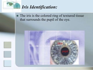 Face recognition process:Extraction of face featuresInput face imageExtraction of face imagePositiveDatabasenegative