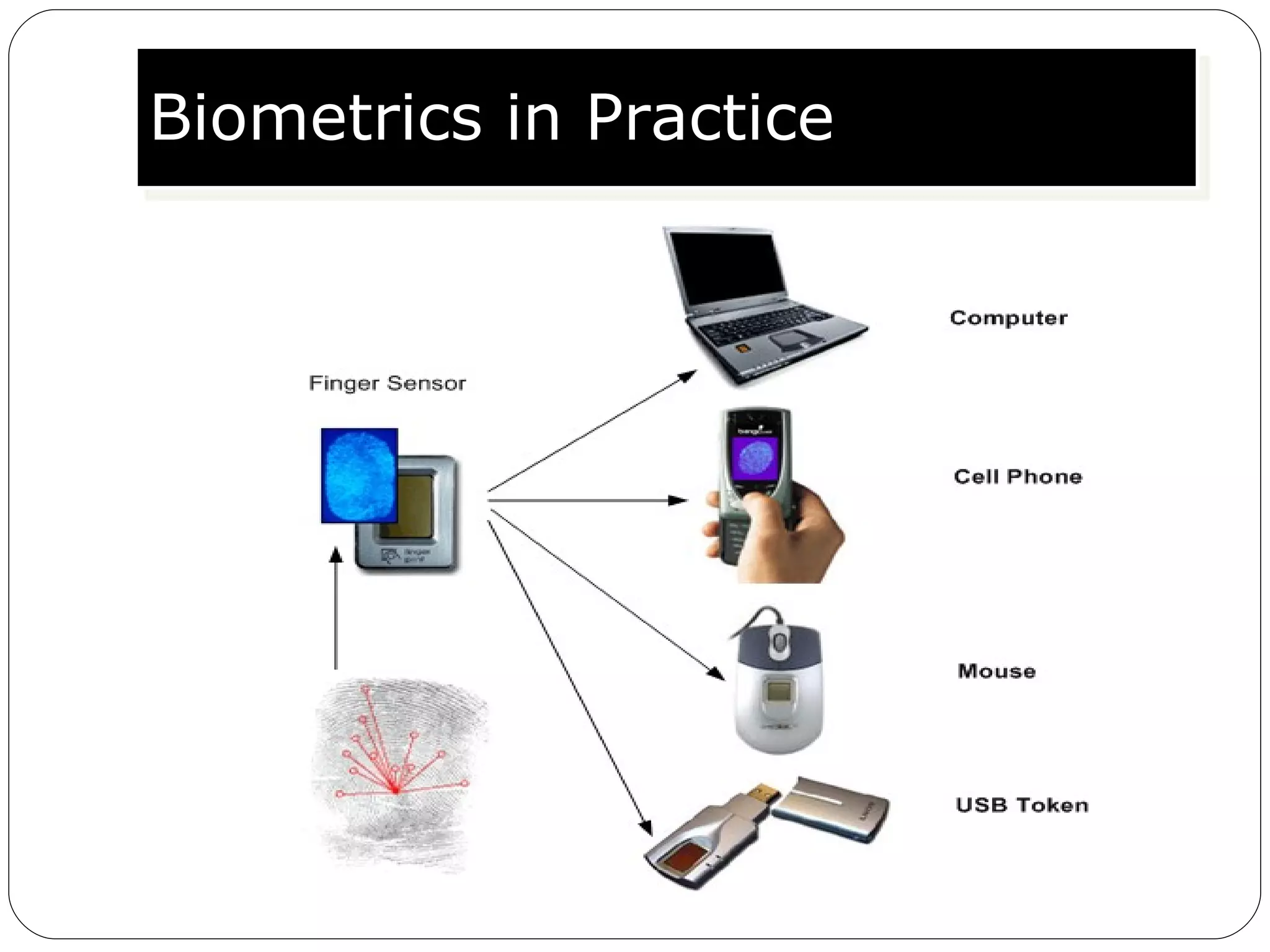 Biometrics in Practice 