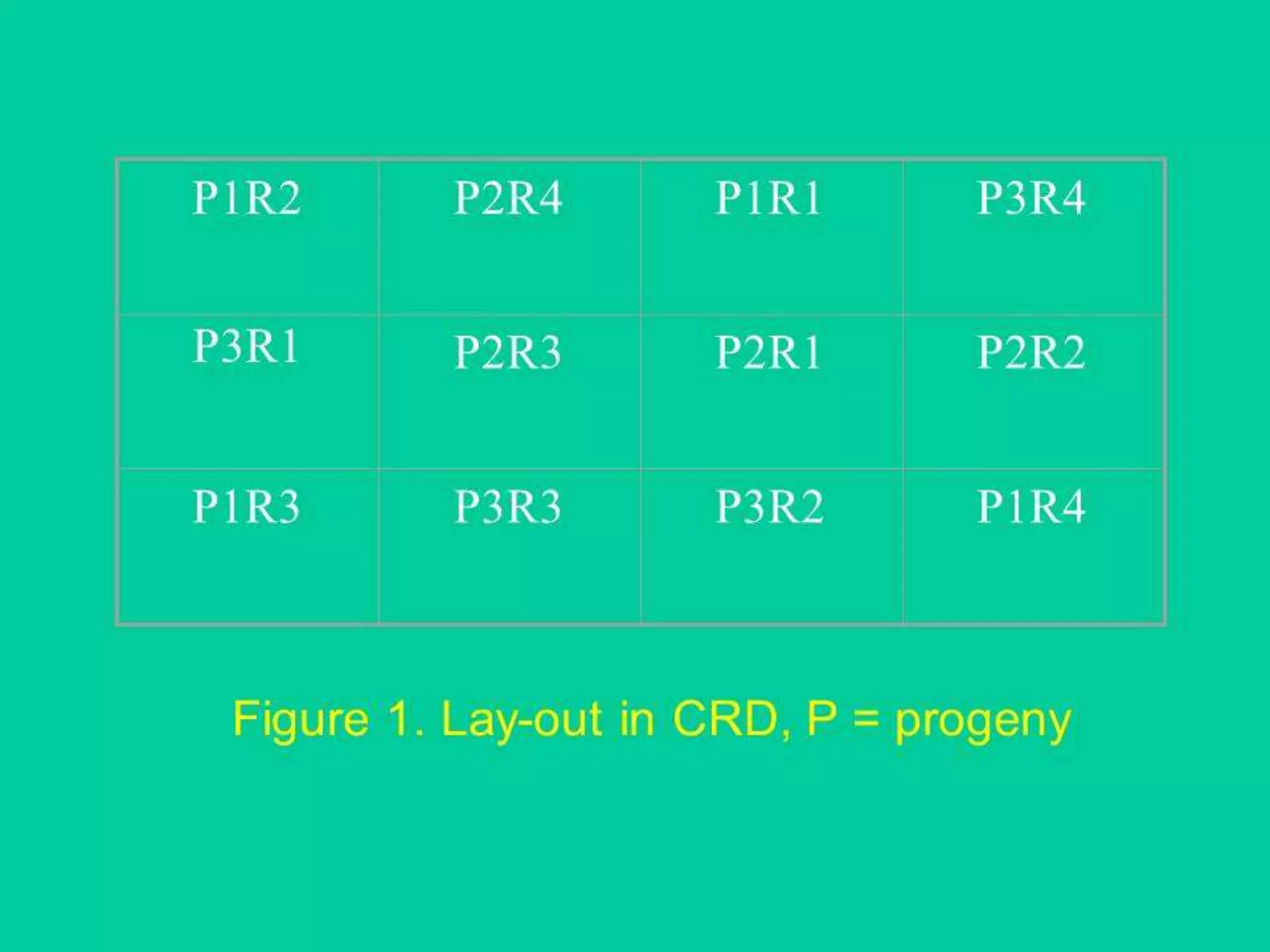 a. Non-Recurrent mutation
AA Aa
• This kind only involves a small change in the
large population. It is not important and not
effective, because its product has a small
chance to be viable in a large population.
Normally lost and does not show changes in the
succeeding generation, as it is usually in the
form of heterozygote.
 