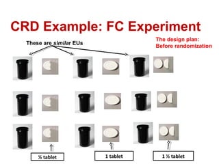 CRD Example: FC Experiment
These are similar EUs
The design plan:
Before randomization
½ tablet 1 tablet 1 ½ tablet
 