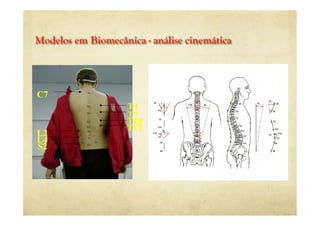 C7
T4
T7
T10
T12
L2
L4
S2
Modelos em Biomecânica - análise cinemática
 