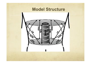 Model Structure
 