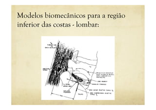 Modelos biomecânicos para a região
inferior das costas - lombar:
 