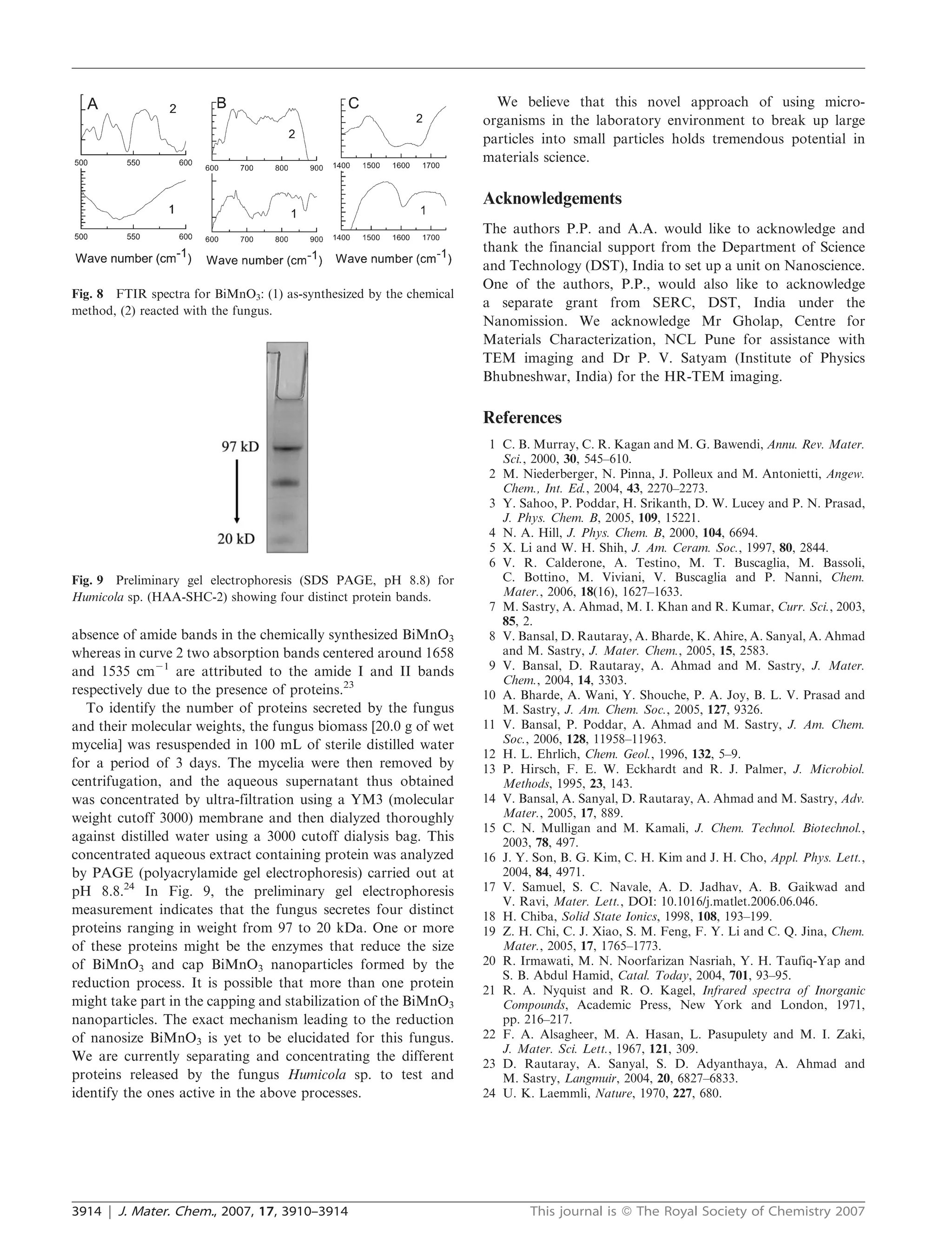 We believe that this novel approach of using micro-
                                                                     organisms in the laboratory environment to break up large
                                                                     particles into small particles holds tremendous potential in
                                                                     materials science.

                                                                     Acknowledgements
                                                                     The authors P.P. and A.A. would like to acknowledge and
                                                                     thank the financial support from the Department of Science
                                                                     and Technology (DST), India to set up a unit on Nanoscience.
                                                                     One of the authors, P.P., would also like to acknowledge
Fig. 8 FTIR spectra for BiMnO3: (1) as-synthesized by the chemical
                                                                     a separate grant from SERC, DST, India under the
method, (2) reacted with the fungus.
                                                                     Nanomission. We acknowledge Mr Gholap, Centre for
                                                                     Materials Characterization, NCL Pune for assistance with
                                                                     TEM imaging and Dr P. V. Satyam (Institute of Physics
                                                                     Bhubneshwar, India) for the HR-TEM imaging.

                                                                     References
                                                                      1 C. B. Murray, C. R. Kagan and M. G. Bawendi, Annu. Rev. Mater.
                                                                        Sci., 2000, 30, 545–610.
                                                                      2 M. Niederberger, N. Pinna, J. Polleux and M. Antonietti, Angew.
                                                                        Chem., Int. Ed., 2004, 43, 2270–2273.
                                                                      3 Y. Sahoo, P. Poddar, H. Srikanth, D. W. Lucey and P. N. Prasad,
                                                                        J. Phys. Chem. B, 2005, 109, 15221.
                                                                      4 N. A. Hill, J. Phys. Chem. B, 2000, 104, 6694.
                                                                      5 X. Li and W. H. Shih, J. Am. Ceram. Soc., 1997, 80, 2844.
                                                                      6 V. R. Calderone, A. Testino, M. T. Buscaglia, M. Bassoli,
Fig. 9 Preliminary gel electrophoresis (SDS PAGE, pH 8.8) for           C. Bottino, M. Viviani, V. Buscaglia and P. Nanni, Chem.
Humicola sp. (HAA-SHC-2) showing four distinct protein bands.           Mater., 2006, 18(16), 1627–1633.
                                                                      7 M. Sastry, A. Ahmad, M. I. Khan and R. Kumar, Curr. Sci., 2003,
                                                                        85, 2.
absence of amide bands in the chemically synthesized BiMnO3           8 V. Bansal, D. Rautaray, A. Bharde, K. Ahire, A. Sanyal, A. Ahmad
whereas in curve 2 two absorption bands centered around 1658            and M. Sastry, J. Mater. Chem., 2005, 15, 2583.
and 1535 cm21 are attributed to the amide I and II bands              9 V. Bansal, D. Rautaray, A. Ahmad and M. Sastry, J. Mater.
                                                                        Chem., 2004, 14, 3303.
respectively due to the presence of proteins.23                      10 A. Bharde, A. Wani, Y. Shouche, P. A. Joy, B. L. V. Prasad and
  To identify the number of proteins secreted by the fungus             M. Sastry, J. Am. Chem. Soc., 2005, 127, 9326.
and their molecular weights, the fungus biomass [20.0 g of wet       11 V. Bansal, P. Poddar, A. Ahmad and M. Sastry, J. Am. Chem.
mycelia] was resuspended in 100 mL of sterile distilled water           Soc., 2006, 128, 11958–11963.
                                                                     12 H. L. Ehrlich, Chem. Geol., 1996, 132, 5–9.
for a period of 3 days. The mycelia were then removed by             13 P. Hirsch, F. E. W. Eckhardt and R. J. Palmer, J. Microbiol.
centrifugation, and the aqueous supernatant thus obtained               Methods, 1995, 23, 143.
was concentrated by ultra-filtration using a YM3 (molecular          14 V. Bansal, A. Sanyal, D. Rautaray, A. Ahmad and M. Sastry, Adv.
weight cutoff 3000) membrane and then dialyzed thoroughly               Mater., 2005, 17, 889.
                                                                     15 C. N. Mulligan and M. Kamali, J. Chem. Technol. Biotechnol.,
against distilled water using a 3000 cutoff dialysis bag. This          2003, 78, 497.
concentrated aqueous extract containing protein was analyzed         16 J. Y. Son, B. G. Kim, C. H. Kim and J. H. Cho, Appl. Phys. Lett.,
by PAGE (polyacrylamide gel electrophoresis) carried out at             2004, 84, 4971.
pH 8.8.24 In Fig. 9, the preliminary gel electrophoresis             17 V. Samuel, S. C. Navale, A. D. Jadhav, A. B. Gaikwad and
                                                                        V. Ravi, Mater. Lett., DOI: 10.1016/j.matlet.2006.06.046.
measurement indicates that the fungus secretes four distinct         18 H. Chiba, Solid State Ionics, 1998, 108, 193–199.
proteins ranging in weight from 97 to 20 kDa. One or more            19 Z. H. Chi, C. J. Xiao, S. M. Feng, F. Y. Li and C. Q. Jina, Chem.
of these proteins might be the enzymes that reduce the size             Mater., 2005, 17, 1765–1773.
of BiMnO3 and cap BiMnO3 nanoparticles formed by the                 20 R. Irmawati, M. N. Noorfarizan Nasriah, Y. H. Taufiq-Yap and
                                                                        S. B. Abdul Hamid, Catal. Today, 2004, 701, 93–95.
reduction process. It is possible that more than one protein         21 R. A. Nyquist and R. O. Kagel, Infrared spectra of Inorganic
might take part in the capping and stabilization of the BiMnO3          Compounds, Academic Press, New York and London, 1971,
nanoparticles. The exact mechanism leading to the reduction             pp. 216–217.
of nanosize BiMnO3 is yet to be elucidated for this fungus.          22 F. A. Alsagheer, M. A. Hasan, L. Pasupulety and M. I. Zaki,
                                                                        J. Mater. Sci. Lett., 1967, 121, 309.
We are currently separating and concentrating the different          23 D. Rautaray, A. Sanyal, S. D. Adyanthaya, A. Ahmad and
proteins released by the fungus Humicola sp. to test and                M. Sastry, Langmuir, 2004, 20, 6827–6833.
identify the ones active in the above processes.                     24 U. K. Laemmli, Nature, 1970, 227, 680.




3914 | J. Mater. Chem., 2007, 17, 3910–3914                                  This journal is ß The Royal Society of Chemistry 2007
 