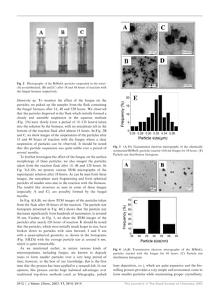 Fig. 2 Photographs of the BiMnO3 particles suspended in the water:
(A) as-synthesized, (B) and (C) after 18 and 48 hours of reaction with
the fungal biomass respectively.


Humicola sp. To monitor the effect of the fungus on the
particles, we picked up the samples from the flask containing
the fungal biomass after 18, 48 and 120 hours. We observed
that the particles dispersed in the flask which initially formed a
cloudy and unstable suspension in the aqueous medium
(Fig. 2A) were slowly (over a period of 18–120 hours) taken
into the solution by the biomass, with no precipitate left in the
bottom of the reaction flask after almost 18 hours. In Fig. 2B
and C, we show images of the suspensions of the particles after
18 and 48 hours of reaction with the fungus where a clear
suspension of particles can be observed. It should be noted
                                                                         Fig. 3 (A–D) Transmission electron micrographs of the chemically
that this particle suspension was quite stable over a period of
                                                                         synthesized BiMnO3 particles reacted with the fungus for 18 hours. (E)
several months.
                                                                         Particle size distribution histogram.
   To further investigate the effect of the fungus on the surface
morphology of these particles, we also imaged the particles
taken from the reaction flask after 18, 48 and 120 hours. In
Fig. 3(A–D), we present various TEM micrographs of the
supernatant solution after 18 hours. As can be seen from these
images, the nanoplates start fragmenting and form spherical
particles of smaller sizes due to the reaction with the biomass.
The tendril like structure as seen in some of these images
(especially A and C), are possibly formed by the fungal
mycelia.
   In Fig. 4(A,B), we show TEM images of the particles taken
from the flask after 48 hours of the reaction. The particle size
histogram presented in Fig. 4(C) shows that the particle size
decreases significantly from hundreds of nanometers to around
50 nm. Further, in Fig. 5, we show the TEM images of the
particles after nearly 120 hours of reaction. It should be noted
that the particles, which were initially much larger in size, have
broken down to particles with sizes between 4 and 8 nm
with a quasi-spherical geometry as shown in the histograms
(Fig. 5(B,D)) with the average particle size at around 6 nm,
which is quite remarkable.
   As we mentioned earlier, in nature various kinds of                   Fig. 4 (A,B) Transmission electron micrographs of the BiMnO3
microorganisms, including fungus, are known to degrade                   particles reacted with the fungus for 48 hours. (C) Particle size
rocks to form smaller particles over a very long period of               distribution histogram.
time; however, to the best of our knowledge, this is the first
time that this process has been applied in a research lab. In our        laser deposition, etc.), which are quite expensive and the bio-
opinion, this process carries huge technical advantages over             milling process provides a very simple and economical route to
traditional top-down methods (such as lithography, pulsed                form smaller particles while maintaining proper crystallinity.

3912 | J. Mater. Chem., 2007, 17, 3910–3914                                      This journal is ß The Royal Society of Chemistry 2007
 