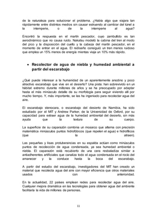 11
de la naturaleza para solucionar el problema. ¿Había algo que viajara tan
rápidamente entre distintos medios sin causar estruendo al cambiar del túnel a
la intemperie, o de la intemperie al agua?
Encontró la respuesta en el martín pescador, cuyo zambullido es tan
aerodinámico que no causa ruido. Nakatsu modeló la cabina del tren al modo
del pico y la disposición del cuello y la cabeza del martín pescador, en el
momento de entrar en el agua. El rediseño consiguió un tren menos ruidoso
que emplea un 15% menos de energía mientas viaja un 10% más rápido.
 Recolector de agua de niebla y humedad ambiental a
partir del escarabajo
¿Qué puede interesar a la humanidad de un aparentemente anodino y poco
atractivo escarabajo que vive en el desierto? Una pista: han sobrevivido en un
hábitat extremo durante millones de años y se ha preocupado por adaptar
hasta el más minúsculo detalle de su morfología para seguir viviendo allí por
mucho tiempo. Y, más importante, se las ha ingeniado para recolectar agua del
aire.
El escarabajo stenocara, o escarabajo del desierto de Namibia, ha sido
estudiado por el MIT y Andrew Parker, de la Universidad de Oxford, por su
capacidad para extraer agua de la humedad ambiental del desierto, sin más
ayuda que la textura de su cuerpo.
La superficie de su caparazón combina un mosaico que alterna con precisión
matemática minúsculos puntos hidrofóbicos (que repelen el agua) e hidrofílicos
(que la atraen).
Las pequeñas y lisas protuberancias en su espalda actúan como minúsculos
puntos de recolección de agua condensada, ya sea humedad ambiental o
niebla. El caparazón está recubierto de una cera resbaladiza similar a
antiadherentes artificiales que canaliza todo el agua condensada en el rocío del
amanecer y la conduce hasta la boca del escarabajo.
A partir del estudio del escarabajo, investigadores del MIT han creado un
material que recolecta agua del aire con mayor eficiencia que otros materiales
usados con anterioridad.
En la actualidad, 22 países emplean redes para recolectar agua del aire.
Cualquier mejora dramática en las tecnologías para obtener agua del ambiente
facilitaría la vida de millones de personas.
 