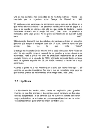 16
Uno de los ejemplos más conocidos de la moderna biónica - Velcro - fue
inventado por el ingeniero suizo George de Mestral en 1941.
"Él estaba en unas vacaciones de senderismo con su perro en los Alpes, en la
que varios rebabas bardana - las pequeñas vainas pilosas que se pegan a la
ropa si se cepilla los dientes más allá de una planta de bardana - quedó
firmemente atrapado en el pelaje del perro", dice Lenau. "Al principio le
molestaba, pero luego pensó: No se pudo un mecanismo de sujeción puede
hacer de esto?"
"Rápidamente descubrió que las rebabas de bardana se tratan en pequeños
ganchos que atrapan a cualquier cosa con un bucle, como la ropa y de piel
animal. Esto es lo que imita Velcro".
El trabajo de desarrollo que de Mestral llevó a cabo en los años 1940 resultó en
nylon de ser elegido como el material de los ganchos y bucles, debido a su
durabilidad. Pero a pesar de tener la producción mecanizada de un buen
producto Velcro en la década de 1950, el interés comercial tardó en llegar
hasta la agencia espacial de EE.UU. NASA comenzó a usarlo en la ropa
astronautas.
"Cuando la gente vio a Neil Armstrong en la Luna con velcro en la ropa -... Se
convirtió en un éxito instantáneo Eso era lo que se necesitaba para hacer un
gran avance y velcro se ha convertido en un mega-éxito", dice Lenau.
2.3. Hipótesis
La biomímesis ha servido como fuente de inspiración para grandes
inventos ya que los animales y las plantas con el transcurso de los años
han ido adaptándose a los cambios que ha sufrido el planeta para tener
mayor probabilidad de sobrevivir, es por eso que el hombre trata de imitar
esas características para tener una mejor calidad de vida.
 