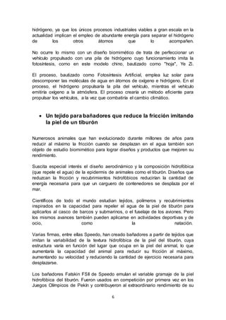6
hidrógeno, ya que los únicos procesos industriales viables a gran escala en la
actualidad implican el empleo de abundante energía para separar el hidrógeno
de los otros átomos que lo acompañen.
No ocurre lo mismo con un diseño biomimético de trata de perfeccionar un
vehículo propulsado con una pila de hidrógeno cuyo funcionamiento imita la
fotosíntesis, como en este modelo chino, bautizado como "hoja", Ye Zi.
El proceso, bautizado como Fotosíntesis Artificial, emplea luz solar para
descomponer las moléculas de agua en átomos de oxígeno e hidrógeno. En el
proceso, el hidrógeno propulsaría la pila del vehículo, mientras el vehículo
emitiría oxígeno a la atmósfera. El proceso crearía un método eficiente para
propulsar los vehículos, a la vez que combatiría el cambio climático.
 Un tejido para bañadores que reduce la fricción imitando
la piel de un tiburón
Numerosos animales que han evolucionado durante millones de años para
reducir al máximo la fricción cuando se desplazan en el agua también son
objeto de estudio biomimético para lograr diseños y productos que mejoren su
rendimiento.
Suscita especial interés el diseño aerodinámico y la composición hidrofóbica
(que repele el agua) de la epidermis de animales como el tiburón. Diseños que
reduzcan la fricción y recubrimientos hidrofóbicos reducirían la cantidad de
energía necesaria para que un carguero de contenedores se desplaza por el
mar.
Científicos de todo el mundo estudian tejidos, polímeros y recubrimientos
inspirados en la capacidad para repeler el agua de la piel de tiburón para
aplicarlos al casco de barcos y submarinos, o el fuselaje de los aviones. Pero
los mismos avances también pueden aplicarse en actividades deportivas y de
ocio, como la natación.
Varias firmas, entre ellas Speedo, han creado bañadores a partir de tejidos que
imitan la variabilidad de la textura hidrofóbica de la piel del tiburón, cuya
estructura varía en función del lugar que ocupa en la piel del animal, lo que
aumentaría la capacidad del animal para reducir su fricción al máximo,
aumentando su velocidad y reduciendo la cantidad de ejercicio necesaria para
desplazarse.
Los bañadores Fatskin FSII de Speedo emulan el variable gramaje de la piel
hidrofóbica del tiburón. Fueron usados en competición por primera vez en los
Juegos Olímpicos de Pekín y contribuyeron al extraordinario rendimiento de su
 
