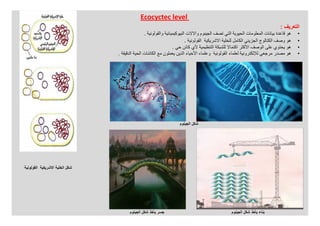 Biomimetic architecture | PDF