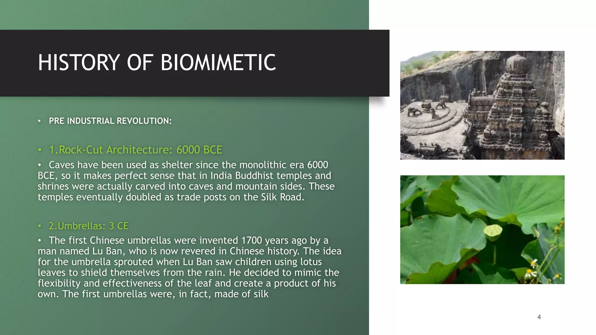 HISTORY OF BIOMIMETIC
• PRE INDUSTRIAL REVOLUTION:
• 1.Rock-Cut Architecture: 6000 BCE
• Caves have been used as shelter since the monolithic era 6000
BCE, so it makes perfect sense that in India Buddhist temples and
shrines were actually carved into caves and mountain sides. These
temples eventually doubled as trade posts on the Silk Road.
• 2.Umbrellas: 3 CE
• The first Chinese umbrellas were invented 1700 years ago by a
man named Lu Ban, who is now revered in Chinese history. The idea
for the umbrella sprouted when Lu Ban saw children using lotus
leaves to shield themselves from the rain. He decided to mimic the
flexibility and effectiveness of the leaf and create a product of his
own. The first umbrellas were, in fact, made of silk
4
 
