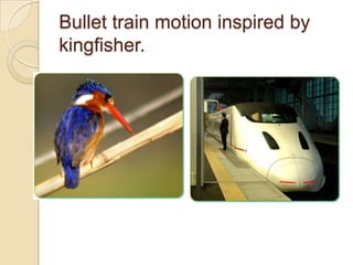 Bullet train motion inspired by
kingfisher.
 