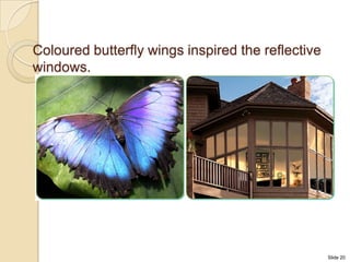 Coloured butterfly wings inspired the reflective
windows.




                                                   Slide 20
 