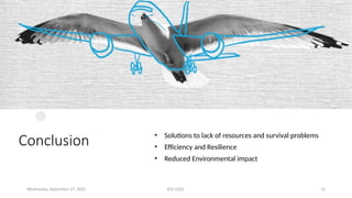 ECE 6502 12
Conclusion • Solutions to lack of resources and survival problems
• Efficiency and Resilience
• Reduced Environmental impact
Wednesday, September 27, 2023
 