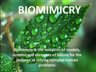 BIOMIMICRY
Biomimcry is the imitation of models,
systems and elements of nature for the
purpose of solving complex human
problems
Biomimcry is the imitation of models,
systems and elements of nature for the
purpose of solving complex human
problems
BIOMIMICRY
 