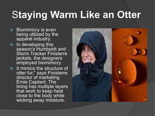 Staying Warm Like an Otter
Biomimicry is even
being utilized by the
apparel industry.
 In developing this
season’s Humboldt and
Storm Tracker Finisterre
jackets, the designers
employed biomimicry.
 It mimics the structure of
otter fur,” says Finisterre
director of marketing
Ernie Capbert. The
lining has multiple layers
that work to keep heat
close to the body while
wicking away moisture.


 