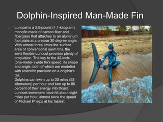 Dolphin-Inspired Man-Made Fin
o

Lunocet is a 2.5-pound (1.1-kilogram)
monofin made of carbon fiber and
fiberglass that attaches to an aluminum
foot plate at a precise 30-degree angle.
With almost three times the surface
area of conventional swim fins, the
semi flexible Lunocet provides plenty of
propulsion. The key to the 42-inch(one-meter-) wide fin's speed: its shape
and angle, both of which are modeled
with scientific precision on a dolphin's
tail.
Dolphins can swim up to 33 miles (53
kilometers) per hour and turn up to 80
percent of their energy into thrust.
Lunocet swimmers have hit about eight
miles per hour, almost twice the speed
of Michael Phelps at his fastest.

 