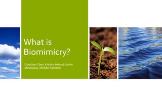 What is
Biomimicry?
Diaochan Chen, Kristina Ireland, Karim
Moussaoui, Michael Santerre
 