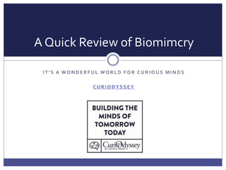I T ’ S A W O N D E R F U L W O R L D F O R C U R I O U S M I N D S
C U R I O DY S S E Y
A Quick Review of Biomimcry
 
