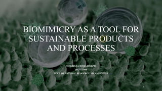 BIOMIMICRY AS A TOOL FOR
SUSTAINABLE PRODUCTS
AND PROCESSES
MEGHANA ROSE JOSEPH
2017-17-006
DEPT. OF NATURAL RESOURCE MANAGEMENT
1
 