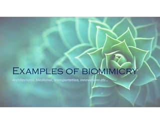 Biomimicry | PDF