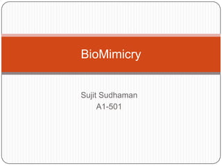 BioMimicry


Sujit Sudhaman
     A1-501
 