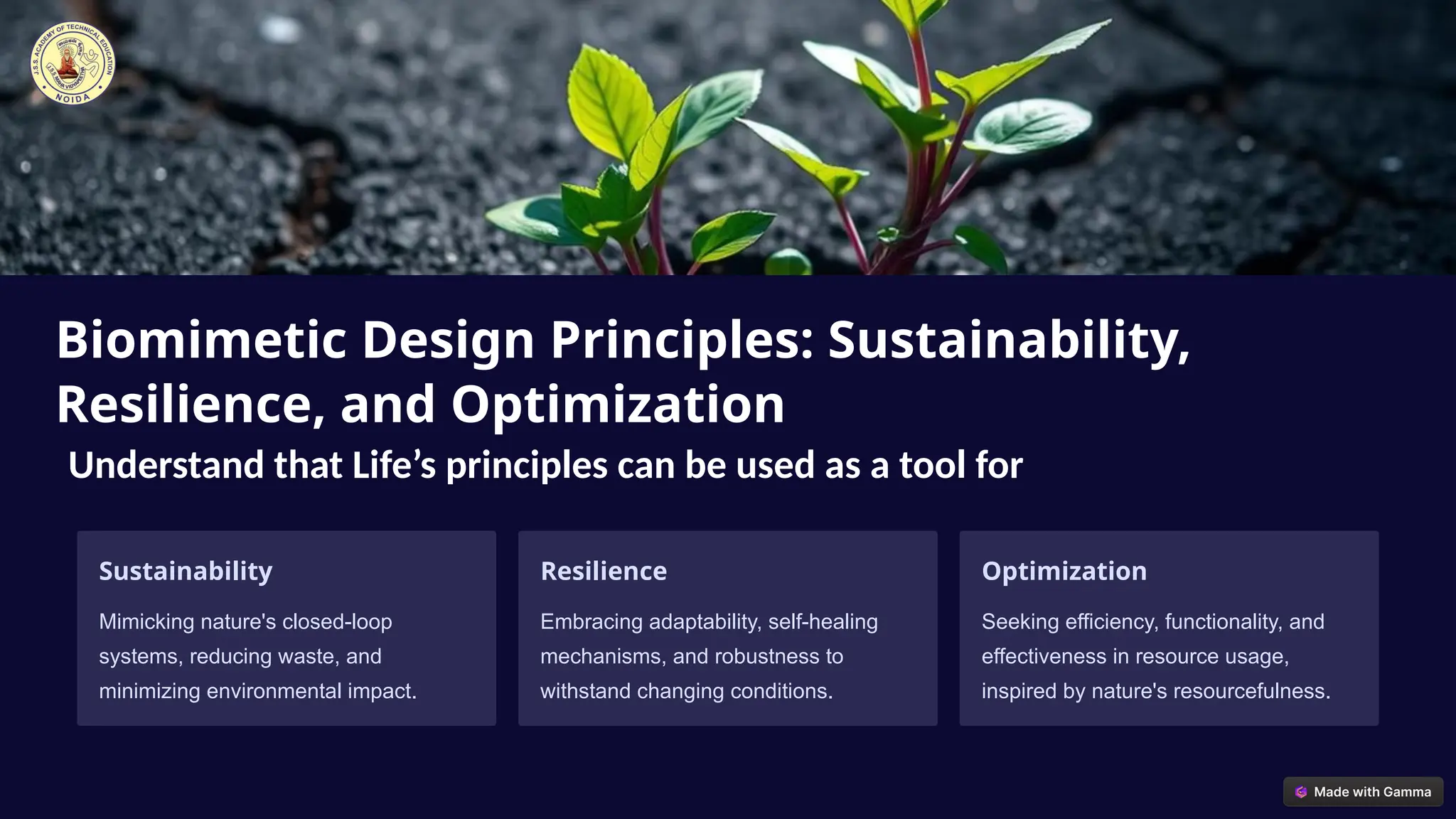 Biomimicry: Innovative Systems Inspired by Nature: Unlocking ...
