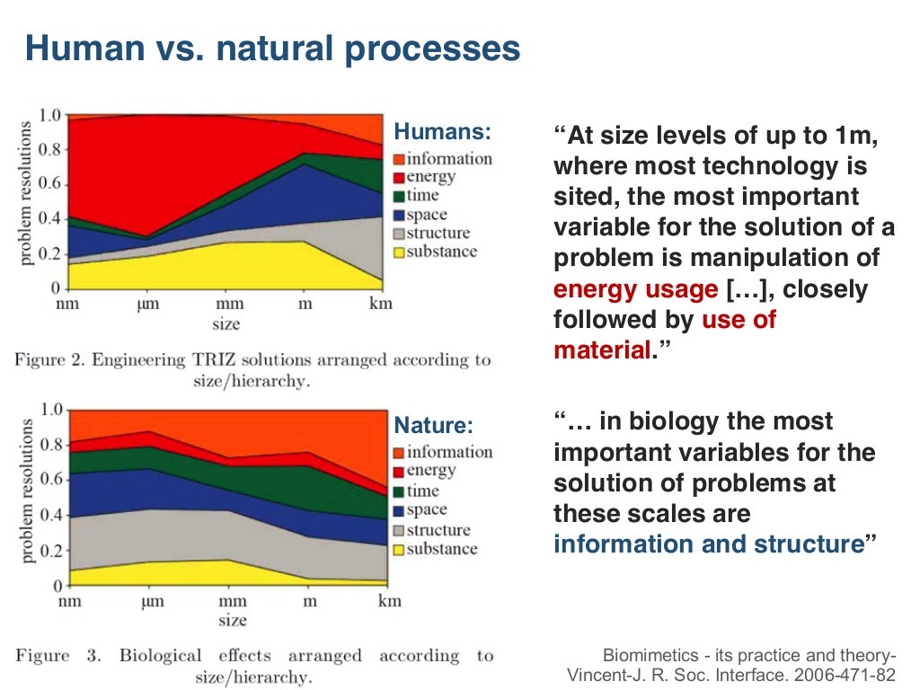Biomimicry The Future of Sustainable Innovation
