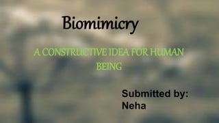 Biomimicry
A CONSTRUCTIVE IDEA FOR HUMAN
BEING
Submitted by:
Neha
 