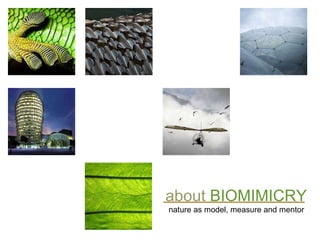 about   BIOMIMICRY nature as model, measure and mentor 