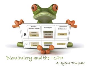 Biomimicry and the TSPD: 
A Hybrid Template 
 