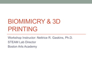 BIOMIMICRY & 3D
PRINTING
Workshop Instructor: Nettrice R. Gaskins, Ph.D.
STEAM Lab Director
Boston Arts Academy
 